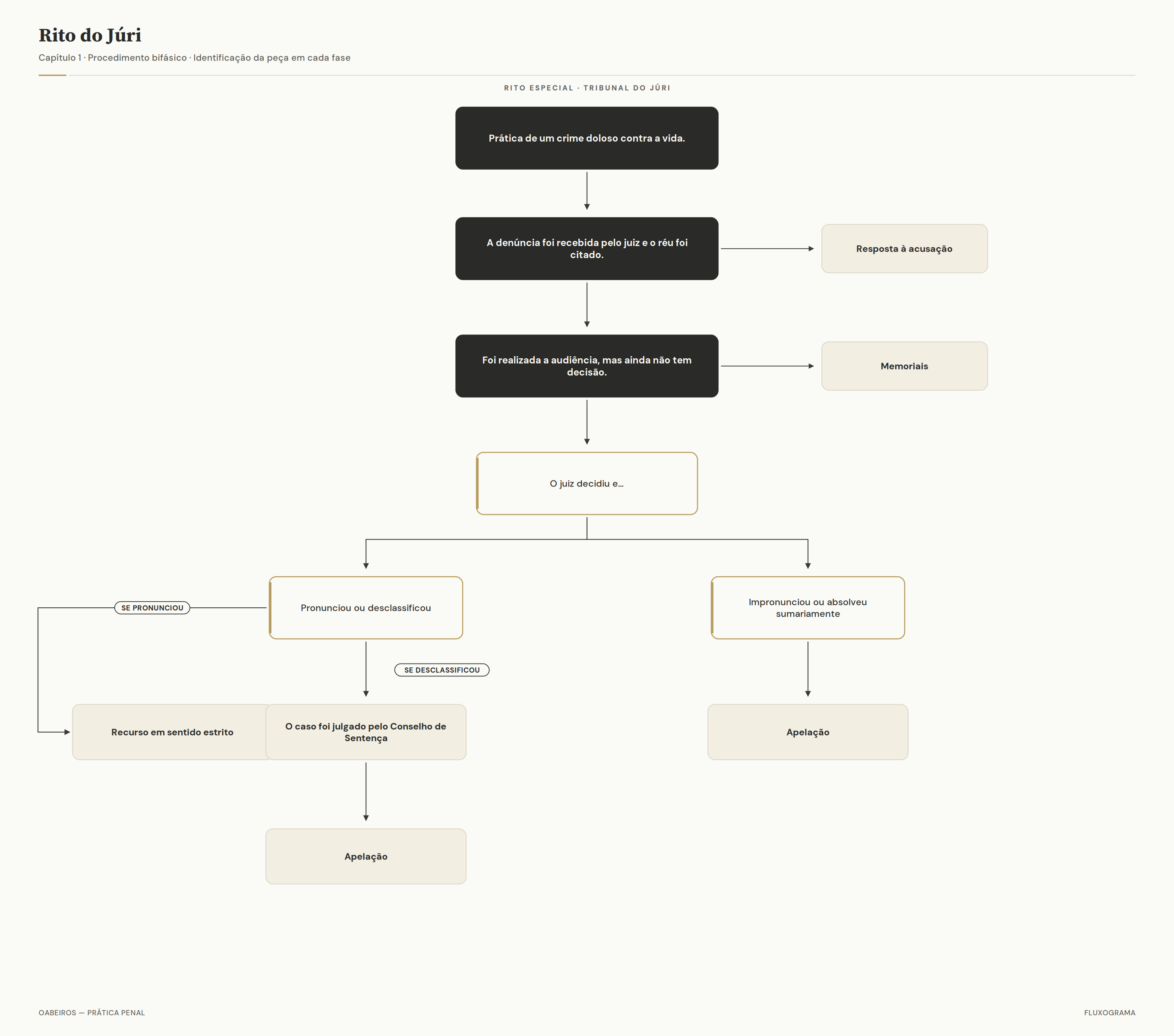 Fluxograma do rito do júri, primeira fase e plenário